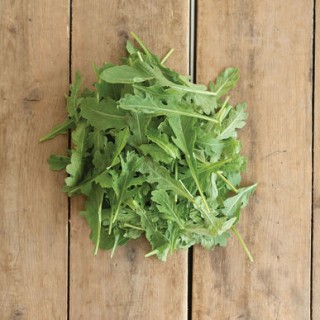 img-2: Индау Даркита - ООО «Семена Тут»