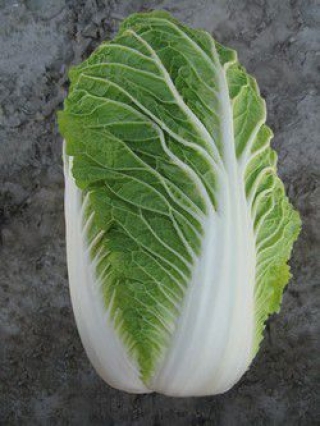 img-0: Капуста пекинская Пасифико F1* - ООО «Семена Тут»