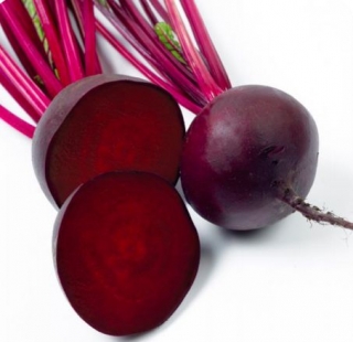 Свекла Кестрел F1 - ООО «Семена Тут»