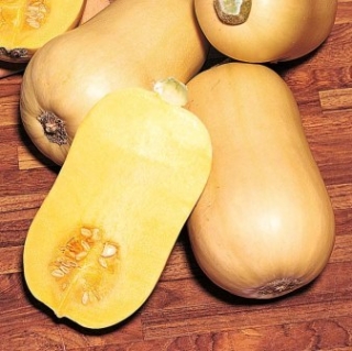 Тыква Авалон F1 - ООО «Семена Тут»