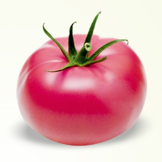 img-0: Томат Вермилион F1 - ООО «Семена Тут»