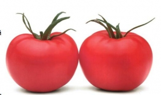 img-1: Томат Пинк Парадайз F1 - ООО «Семена Тут»