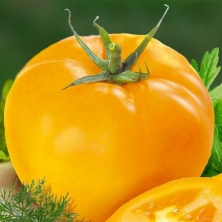 Томат Илья Муромец - ООО «Семена Тут»