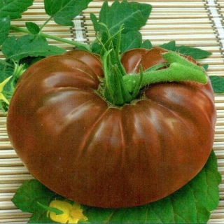 img-0: Томат Шоколадный - ООО «Семена Тут»