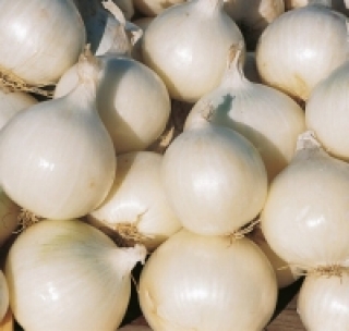 Лук репчатый Неман - ООО «Семена Тут»