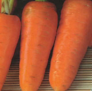 img-0: Морковь Шарлотта - ООО «Семена Тут»