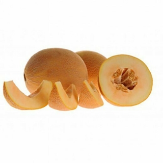 Дыня Дав F1 - ООО «Семена Тут»