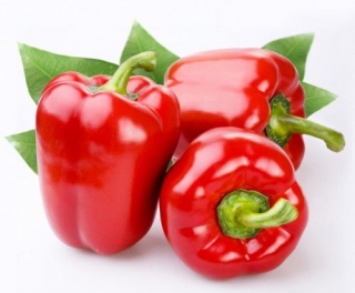 Перец Клаудио F1 - ООО «Семена Тут»