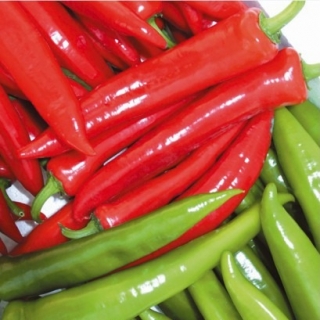 Перец Мата Хари острый - ООО «Семена Тут»