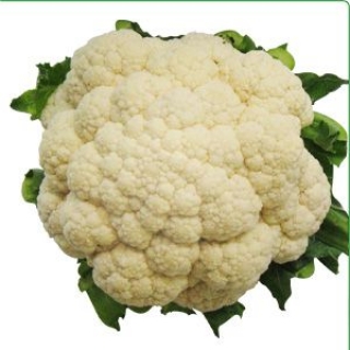 Капуста цветная Кердэс F1 - ООО «Семена Тут»