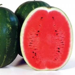 img-0: Арбуз Каристан F1 - ООО «Семена Тут»