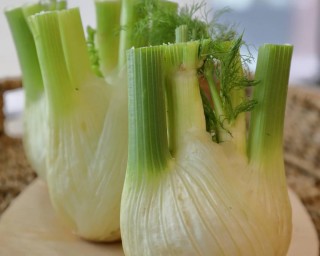 img-2: Фенхель Феномен - ООО «Семена Тут»