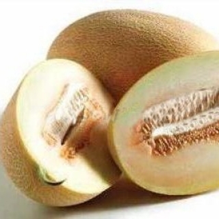 Дыня Соккар F1 - ООО «Семена Тут»