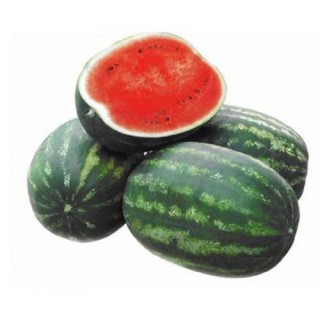 img-0: Арбуз Скиф F1 - ООО «Семена Тут»