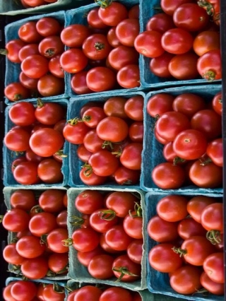 Томат Канна 218 F1 - ООО «Семена Тут»