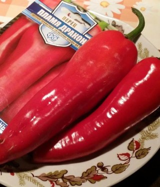 img-0: Перец острый Пламя дракона - ООО «Семена Тут»
