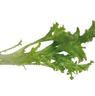 Салат Гринали - ООО «Семена Тут»