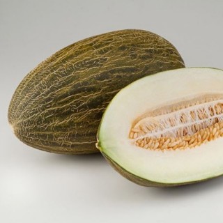 Дыня Хабалон F1 - ООО «Семена Тут»