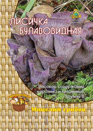 img-1: Лисичка булавовидная (60 мл.) - ООО «Семена Тут»