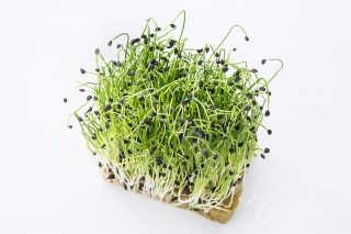 img-0: Лук шнитт Карат МЗ - ООО «Семена Тут»