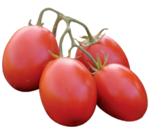 Томат Петраросса F1 - ООО «Семена Тут»
