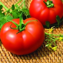 Томат Мелодия F1 - ООО «Семена Тут»