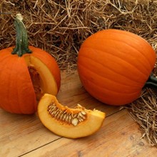 Тыква крупноплодная Коннектикут Филд - ООО «Семена Тут»