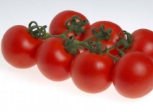 Томат Сиде F1 - ООО «Семена Тут»