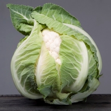 Капуста цветная Ардент F1 - ООО «Семена Тут»