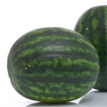 Арбуз Сармат F1 - ООО «Семена Тут»