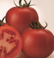 Томат Супер Сед F1 - ООО «Семена Тут»