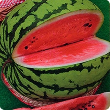 Арбуз Быковский 22  (инкруст. семена) - ООО «Семена Тут»