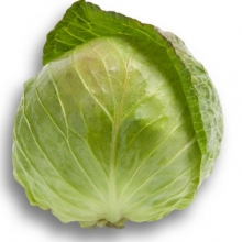 Капуста белокочанная Джетодор F1 - ООО «Семена Тут»