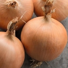 Лук репчатый Тамара F1 - ООО «Семена Тут»