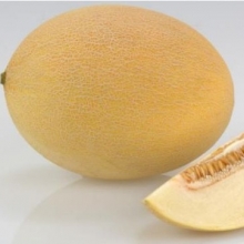 Дыня Петра F1 - ООО «Семена Тут»