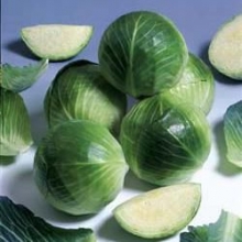 Капуста белокочанная Кандела F1 - ООО «Семена Тут»