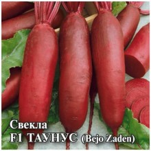 img-1: Свекла Таунус F1 - ООО «Семена Тут»