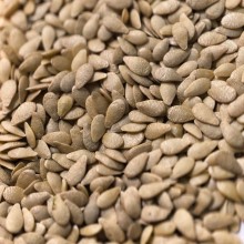 img-3: Мелотрия (мышинная дыня) Полосатик - ООО «Семена Тут»