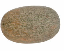 img-2: Дыня Алтын F1 - ООО «Семена Тут»