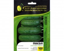 img-1: Огурец Посол F1 - ООО «Семена Тут»