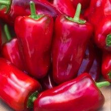 Перец Тайфун - ООО «Семена Тут»