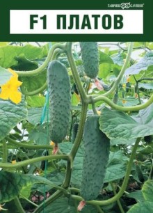 img-1: Огурец Платов F1 - ООО «Семена Тут»