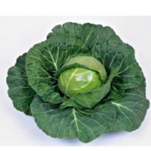 Капуста белокочанная Нозоми F1 - ООО «Семена Тут»