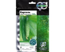 img-2: Огурец Картель F1 - ООО «Семена Тут»