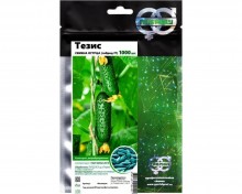 img-1: Огурец Тезис F1 - ООО «Семена Тут»