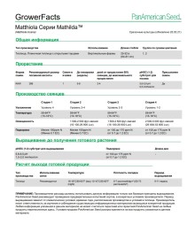 img-2: Маттиола Матильда Блю [1000 шт] - ООО «Семена Тут»