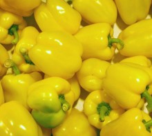 Перец Велез F1 - ООО «Семена Тут»