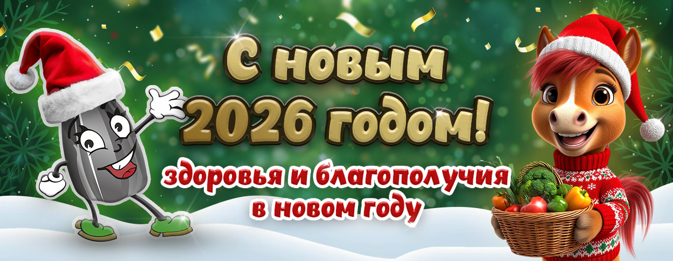 Novyj 2026 god